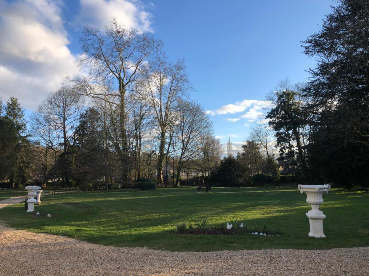 La Maison Au Cedre Marsac-sur-l'Isle Exterior foto